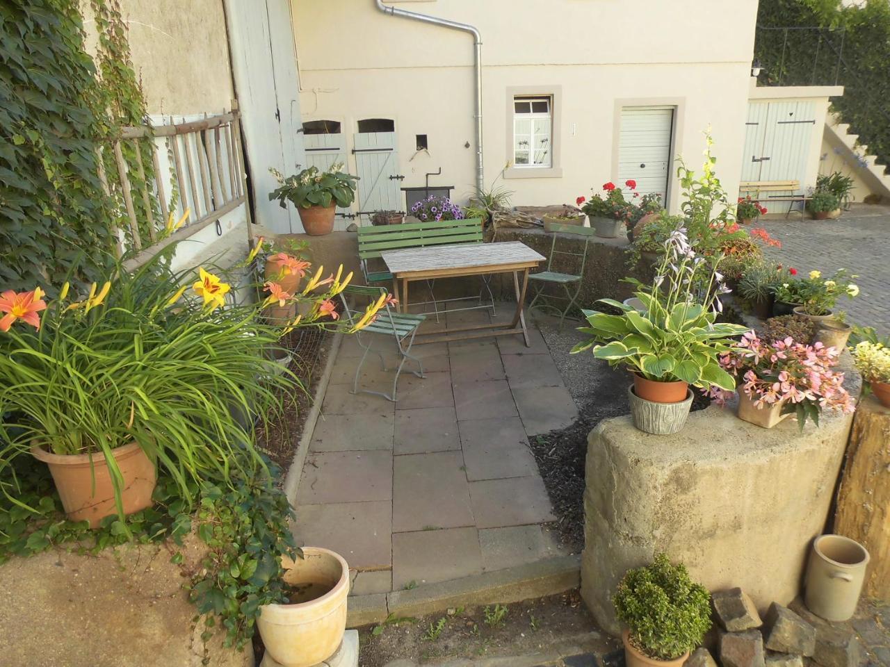 Gaestezimmer Mittelgasse Florsheim-Dalsheim Dış mekan fotoğraf