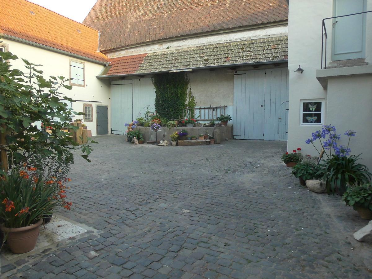 Gaestezimmer Mittelgasse Florsheim-Dalsheim Dış mekan fotoğraf