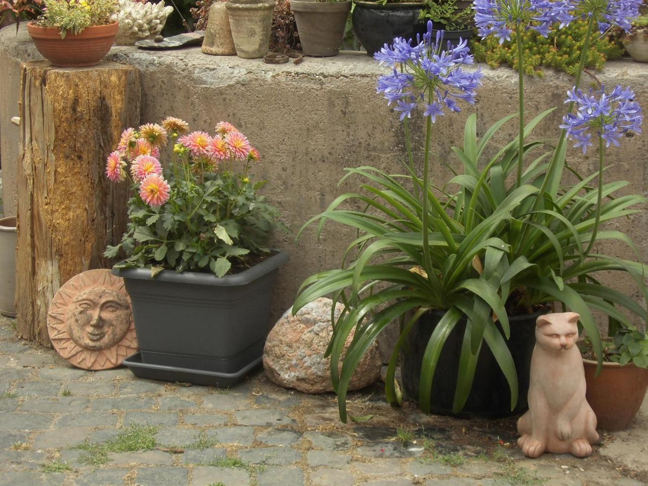 Gaestezimmer Mittelgasse Florsheim-Dalsheim Dış mekan fotoğraf