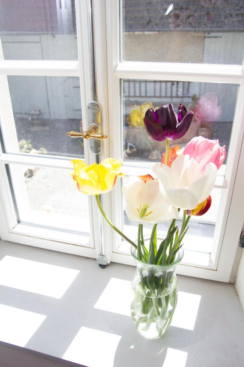 Gaestezimmer Mittelgasse Florsheim-Dalsheim Dış mekan fotoğraf
