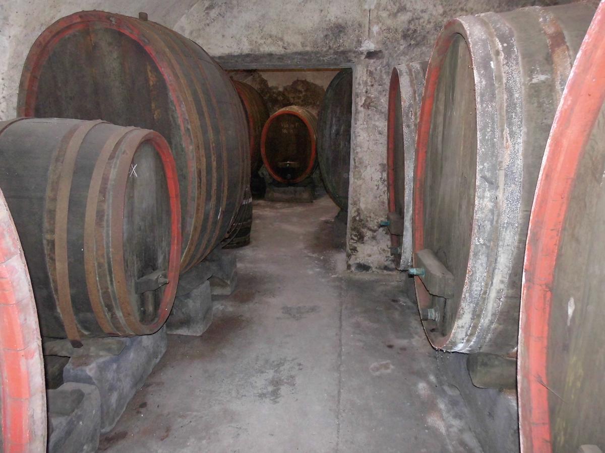 Gaestezimmer Mittelgasse Florsheim-Dalsheim Dış mekan fotoğraf